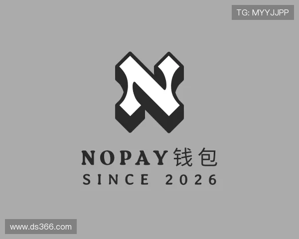 了解NOPAY钱包